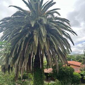 Meet your Posher, Karl